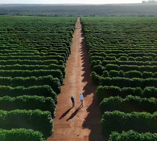 agric
